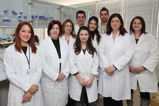 Staff