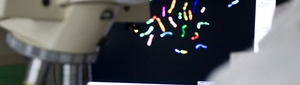 Cytogenetics and Genomics Department