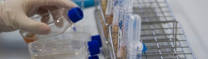Molecular Genetics Thalassaemia Department