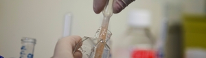 Cardiovascular Genetics Department and Laboratory of Forensic Genetics 