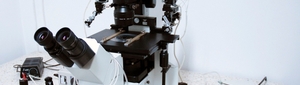 Electron Microscopy and Molecular Pathology Department
