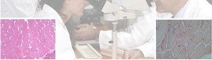 Neurology Clinic A