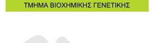 New Services by the Department of Biochemical Genetics